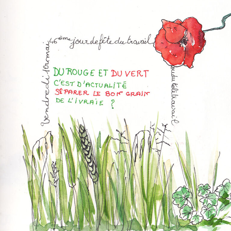 Fenêtre sur confinement