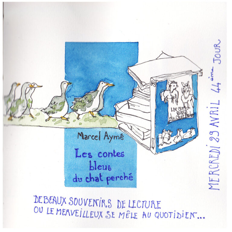 Fenêtre sur confinement